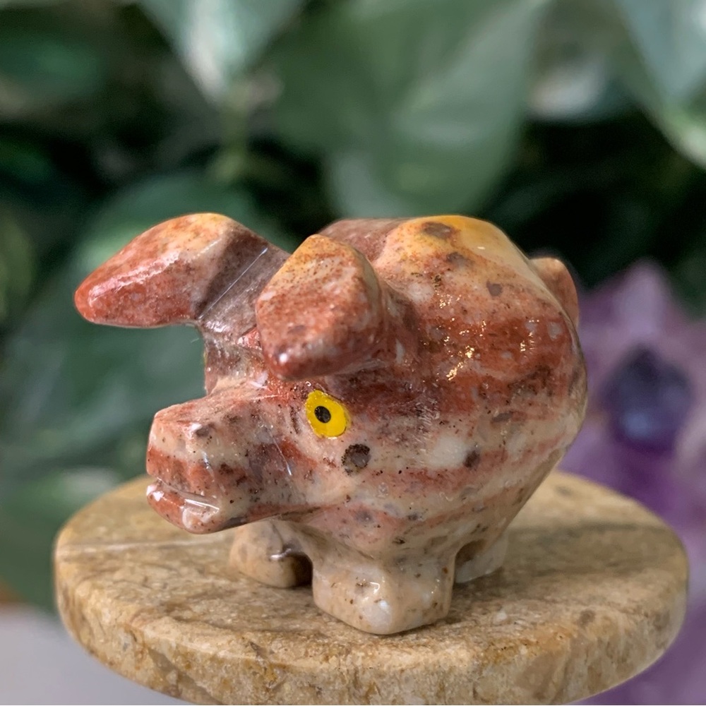 Pig